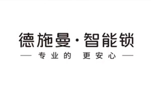 德施曼智能锁型号Q5M生活便利实时监控